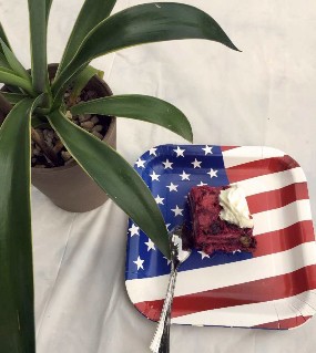 Summer Pudding