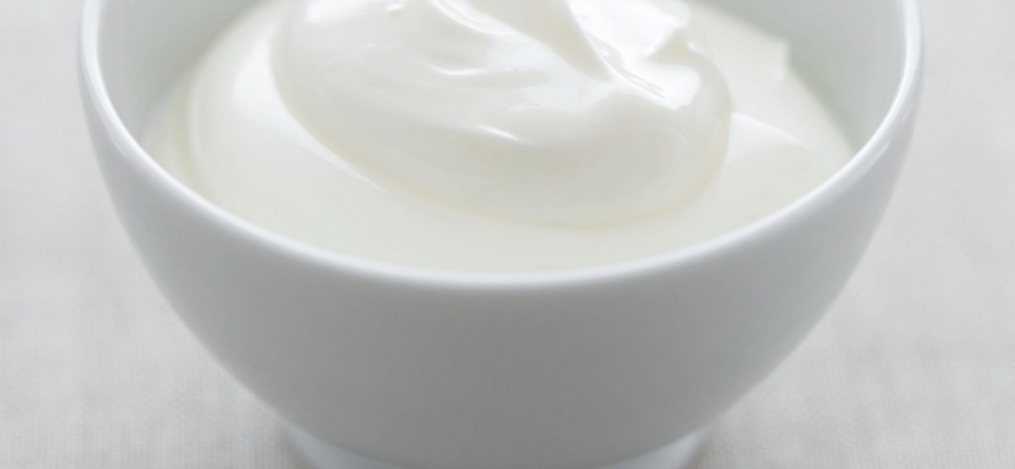 Bulgarian Yogurt